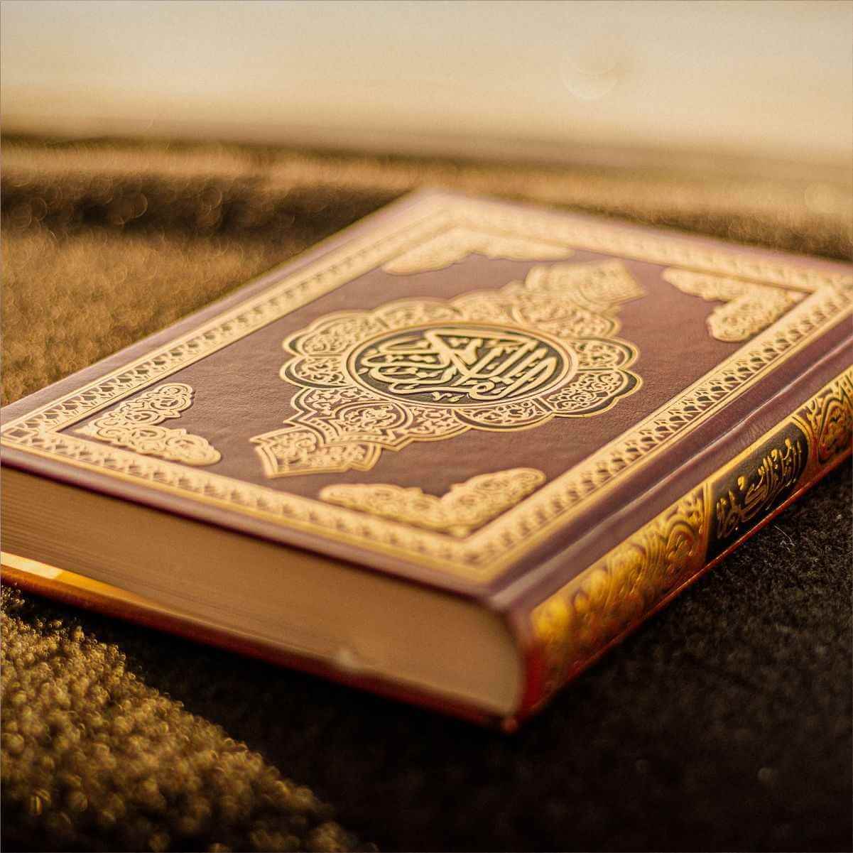 Donate 5 Quran