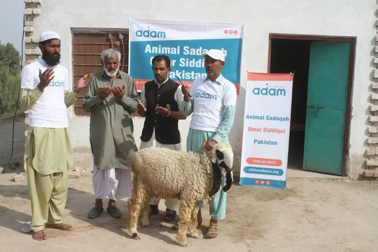 Aqiqah - 1 Goat Pakistan