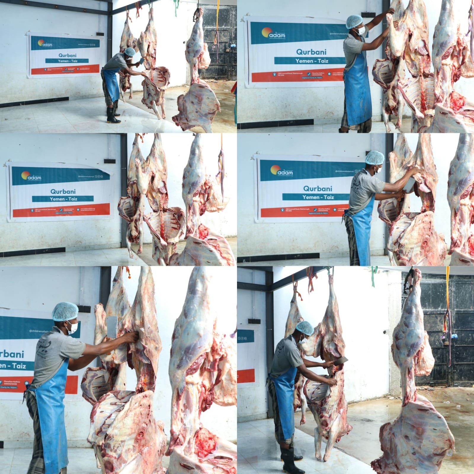 Inside Yemen Qurbani 2026 Distribution: How Your Donation Reached Families in Crisis 3 A collage of six photos showing a butcher wearing a hairnet, face mask, and blue apron processing large hanging animal carcasses with a cleaver during a "Children of Adam" Qurbani event in Taiz, Yemen.